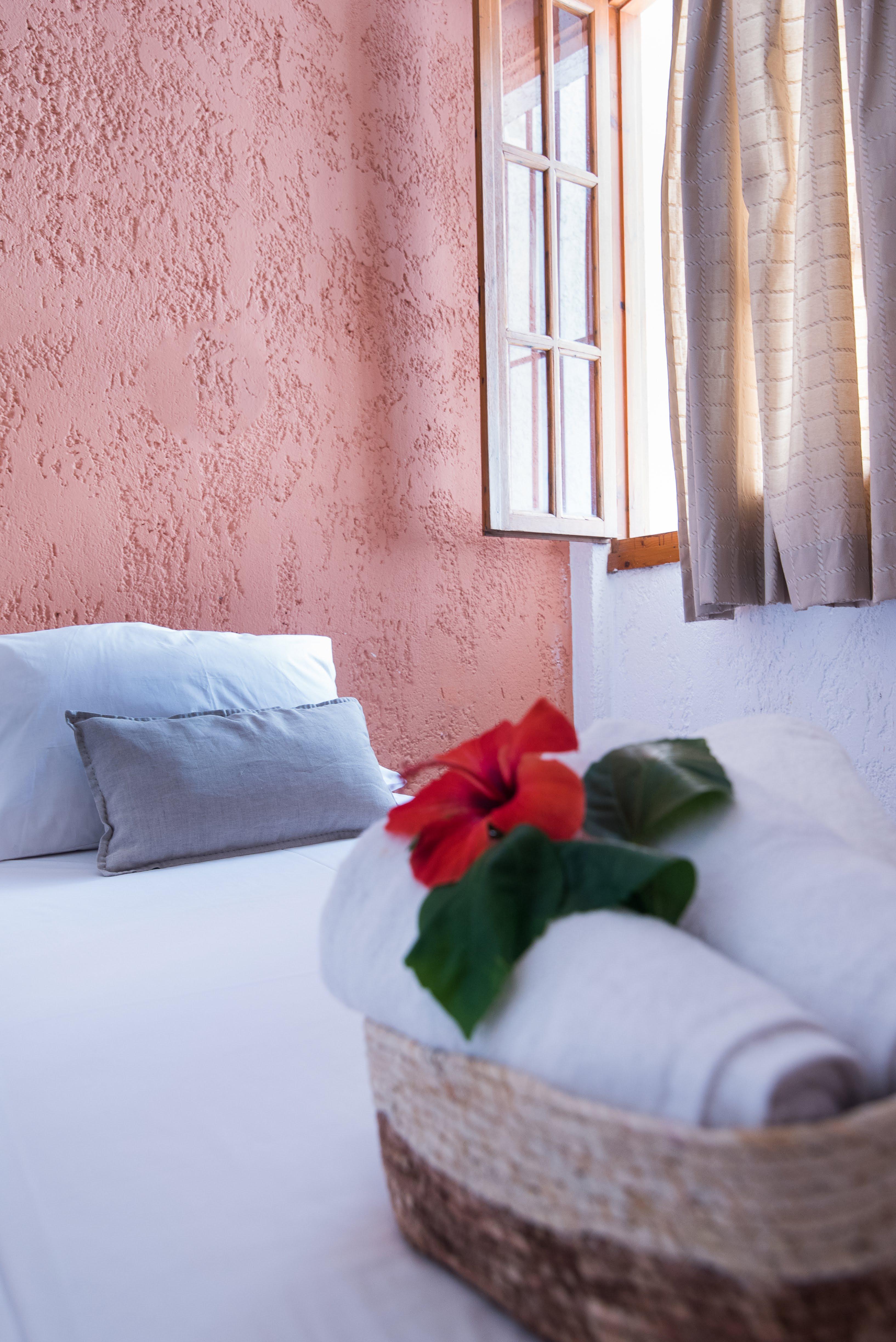 Anna Maria Hotel Malia  Ngoại thất bức ảnh